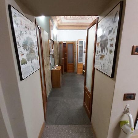 Appartamento Pallavicino Nel Centro Storico Di Cremona Luaran gambar
